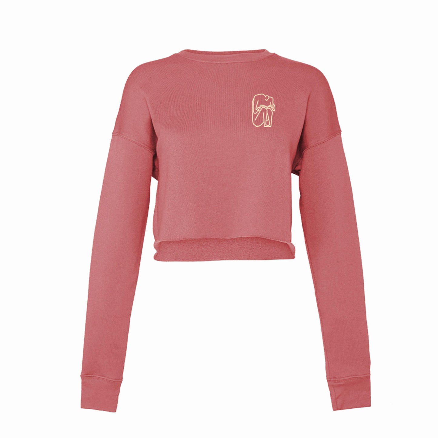 I SHOULD HAVE STAYED HOME AND READ crop top - soft red