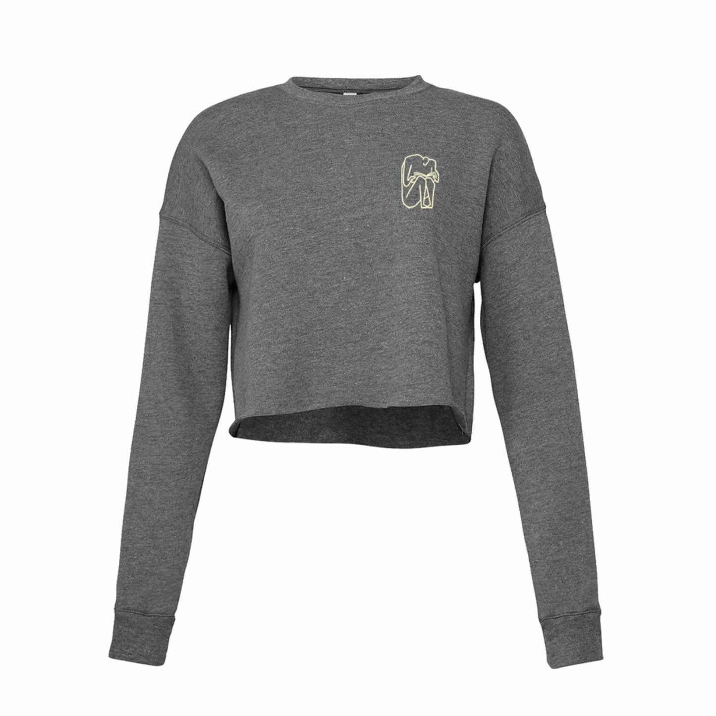 I SHOULD HAVE STAYED HOME AND READ crop top - grey