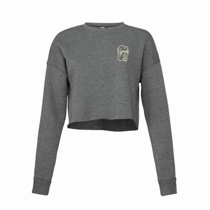 I SHOULD HAVE STAYED HOME AND READ crop top - grey